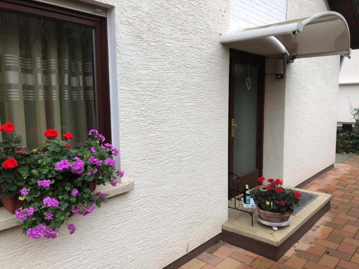 Ferienwohnung Heidelberg Ze-2020-7-Wz Zewnętrze zdjęcie